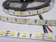 blanc et blanc chauds dans une bande menée dimmable de 5050 smd le TDC fournisseur